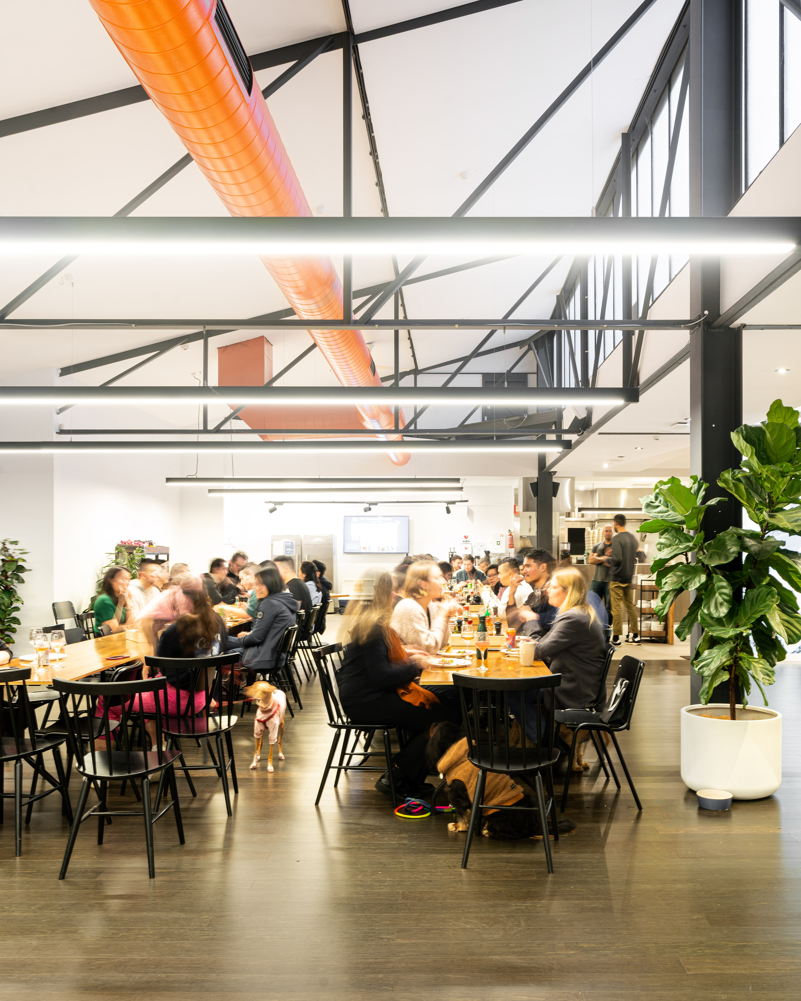 Canva Melbourne — image 18