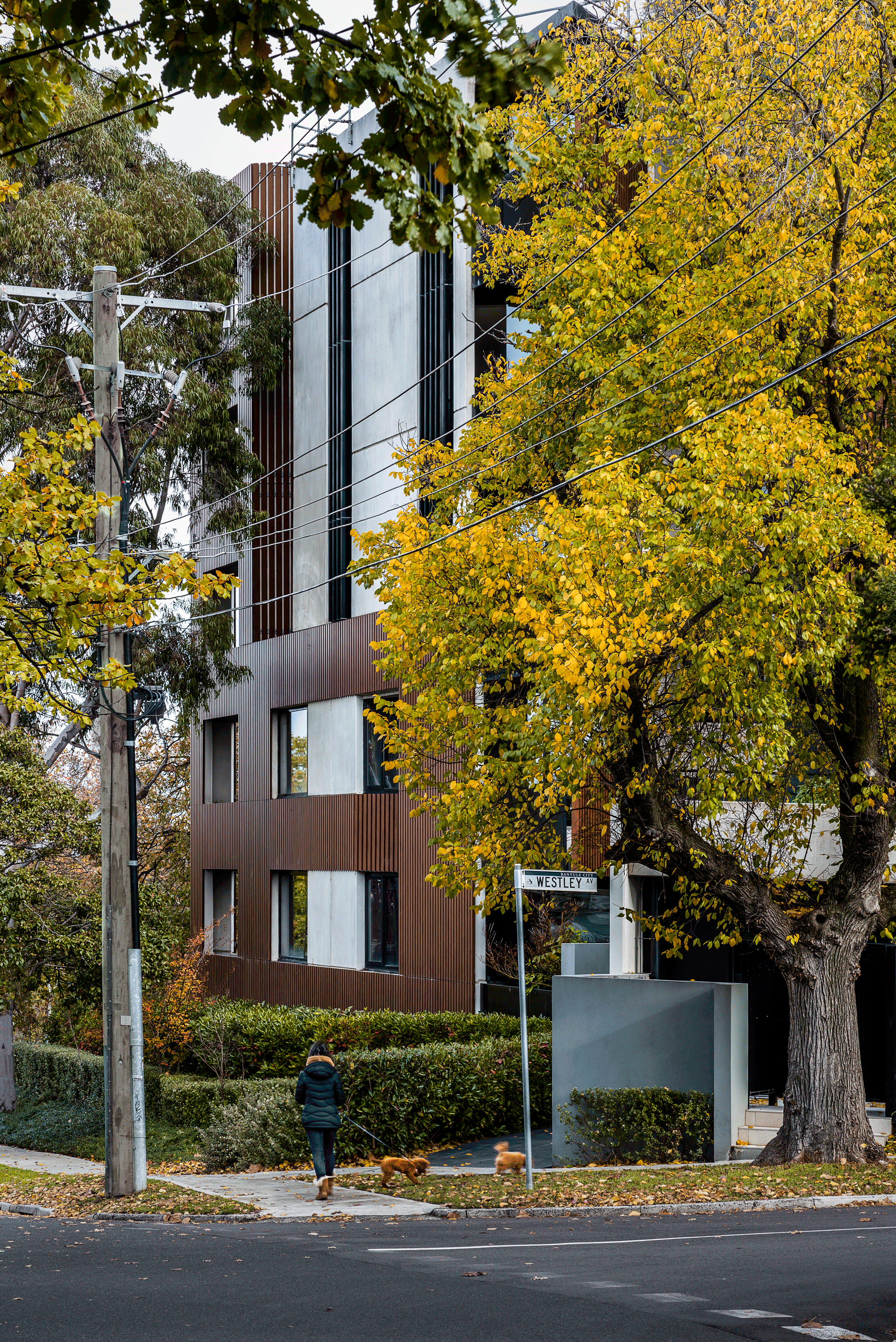 Evergreen Apartments